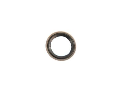 Ram 68030834AA SEAL Slim Line 3/4"