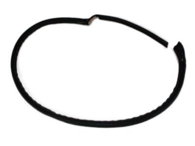 Chrysler 4724785AC WEATHERSTRIP Door Upper Secondary
