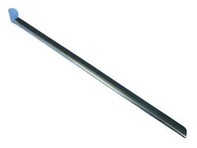 2006 Dodge Magnum Door Moldings - WG20BPKAC
