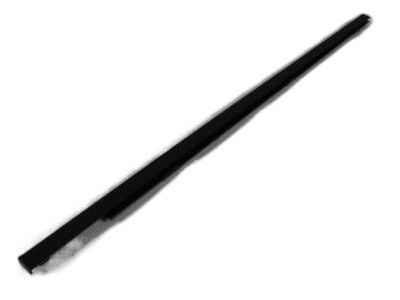 Dodge Ram 3500 Weather Strip - 55276202AF