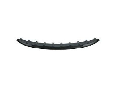 Dodge 68322466AA RUB STRIP FRONT SPLITTER