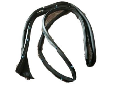 2006 Chrysler Sebring Weather Strip - 4878788AA