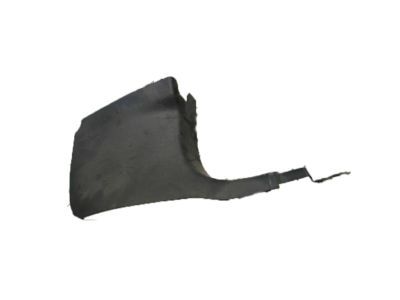 Dodge 1FT54XDVAD PANEL Cowl Side Trim