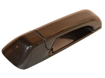 Ram 1GH18LAUAD HANDLE Exterior Door