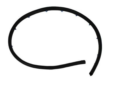 Mopar 55394042AD Seal Front Door