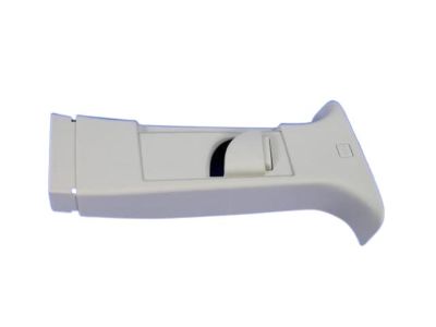 Dodge 1BG10HDAAE MOLDING B Pillar