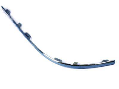 Dodge 4806363AA MOLDING Fascia
