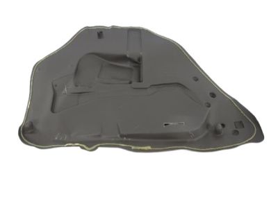 Dodge 5065170AD WATERSHIELD Rear Door