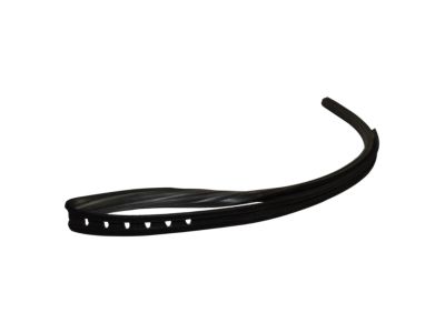 Jeep J5457057 CHANNEL, Glass Run