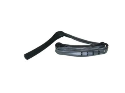 Jeep J5457057 CHANNEL, Glass Run