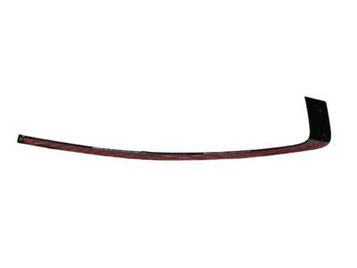 Mopar 57010507AJ Molding Day Light Opening Rear Door