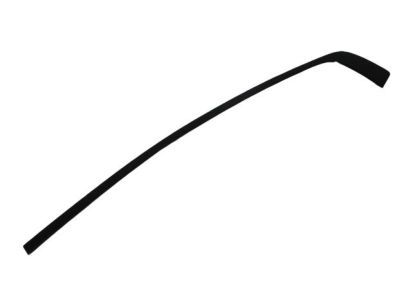 Mopar 57010507AJ Molding Day Light Opening Rear Door