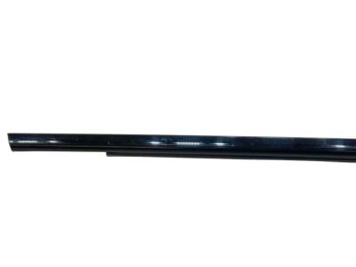Jeep 68257255AE Belt Weatherstrip