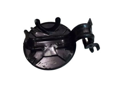 Jeep 55030007 DOOR, Fuel Filler