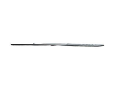 Ram 5ZH20SZ0AC MOLDING Front Door