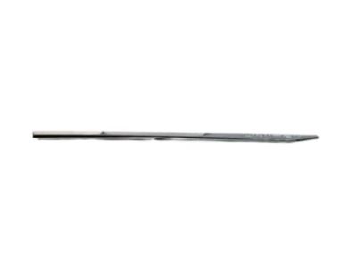 Ram 5ZH20SZ0AC MOLDING Front Door