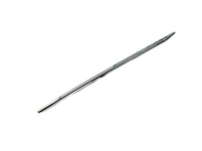 Ram 5ZH20SZ0AC MOLDING Front Door