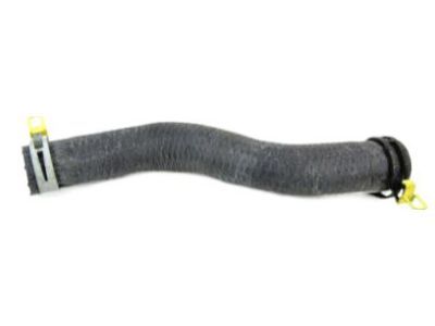 Mopar 5005311AB Lower Hose