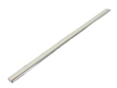 2006 Dodge Magnum Door Moldings - WG20XWGAC