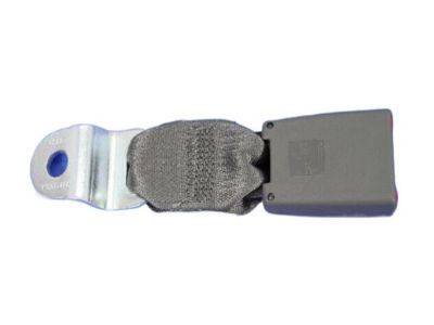 Mopar ZV901D5AA Buckle End, Rear Inner Passenger Side