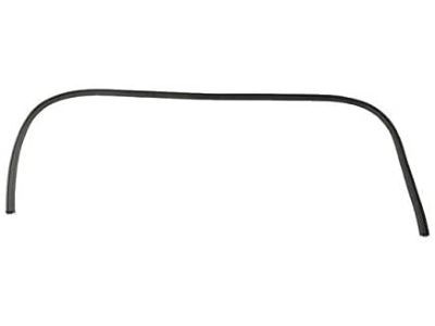 Jeep 5074643AJ WEATHERSTRIP Front Door Body Mounted