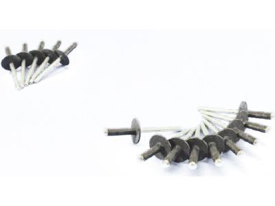 Mopar 6509719AA Front Driver Speaker Rivet