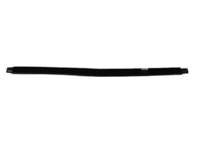 Dodge 55362204AE SEAL Rear Door Outer Belt