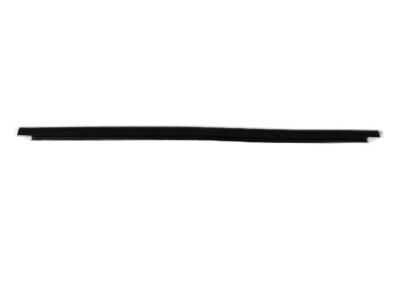 Dodge 55362204AE SEAL Rear Door Outer Belt