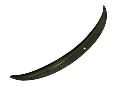 Mopar 4805701AB Molding, Front