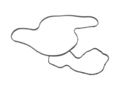 Jeep 68394131AA Water Pump Assembly Gasket