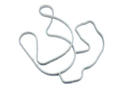 Jeep 68394131AA Water Pump Assembly Gasket