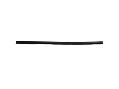 Chrysler 55364333AB SEAL Front Door