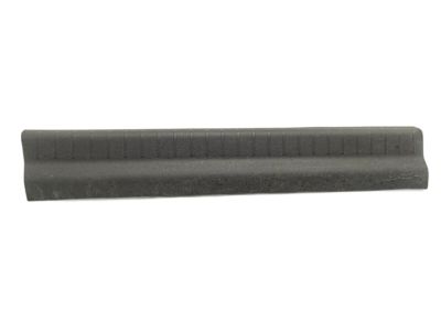 Dodge 1BE48DX9AB PLATE Scuff