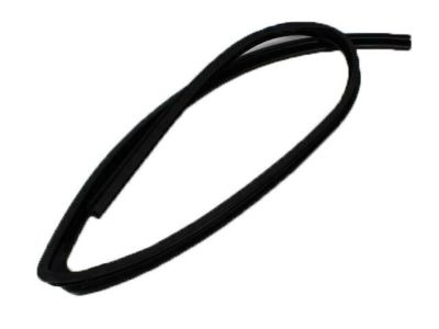 Dodge 55276181AD SEAL Glass Run Front