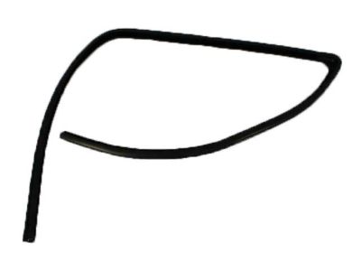 Dodge 55276181AD SEAL Glass Run Front