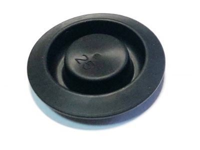 Dodge MU670034 PLUG, Body (25)