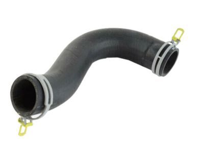 Mopar 55056945AE Lower Hose