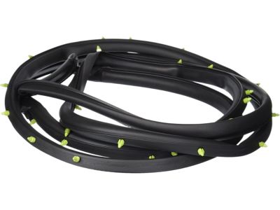 Dodge Caravan Door Seal - 4717721AA