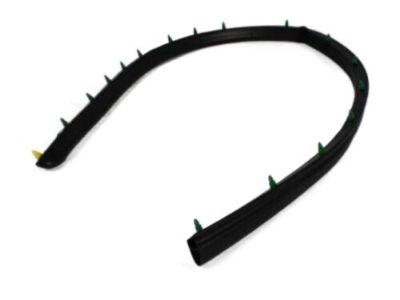 Mopar 55136115AC Seal Front Door Lower