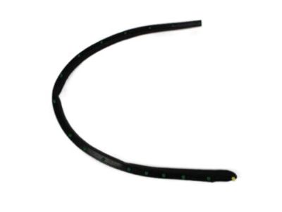 Mopar 55136115AC Seal Front Door Lower
