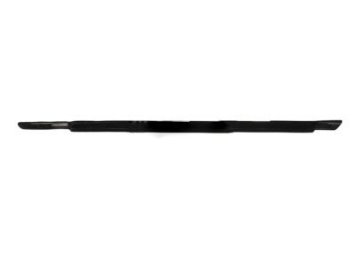 Chrysler 4806060AE WEATHERSTRIP Front Door Belt Outer
