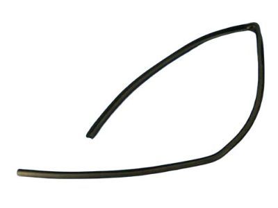 Dodge 55276180AH SEAL Glass Run Front