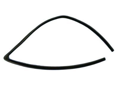 Dodge 55276180AH SEAL Glass Run Front