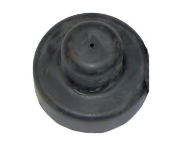Dodge 52027828 ISOLATOR Radiator