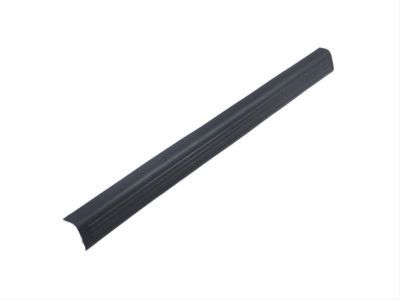 Dodge 1FS98XDVAD MOLDING Door Sill Scuff Front