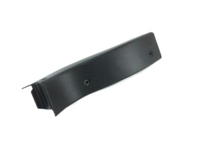 Ram 1ZQ95JXWAA MOLDING Side Sill