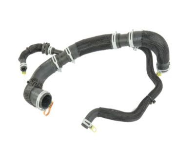 Dodge 68248846AF Lower Hose