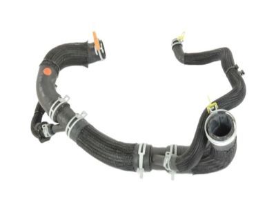 Dodge 68248846AF Lower Hose