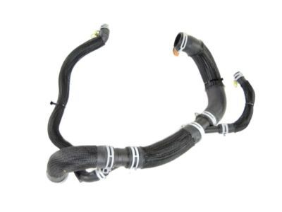 Dodge 68248846AF Lower Hose