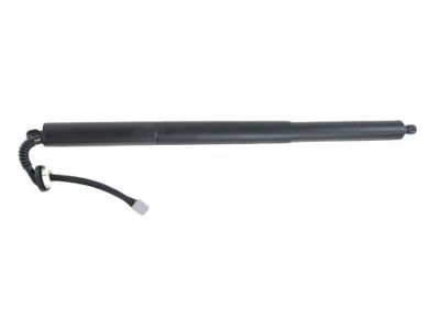 Jeep 68231345AA MOTOR AND GEAR Power Liftgate